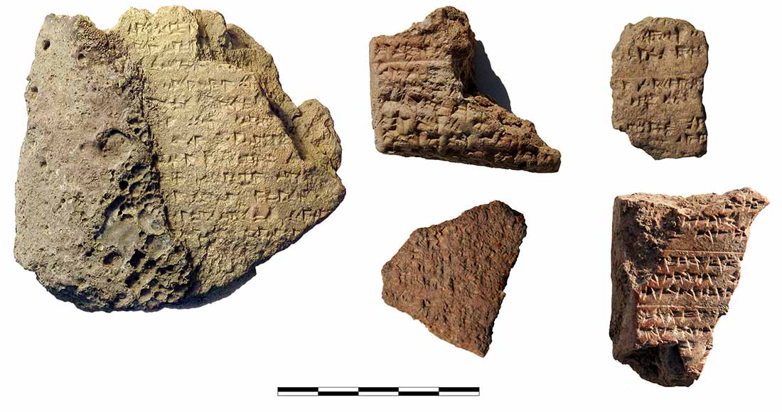 5 fragments of cuneiform tablets from the surface 